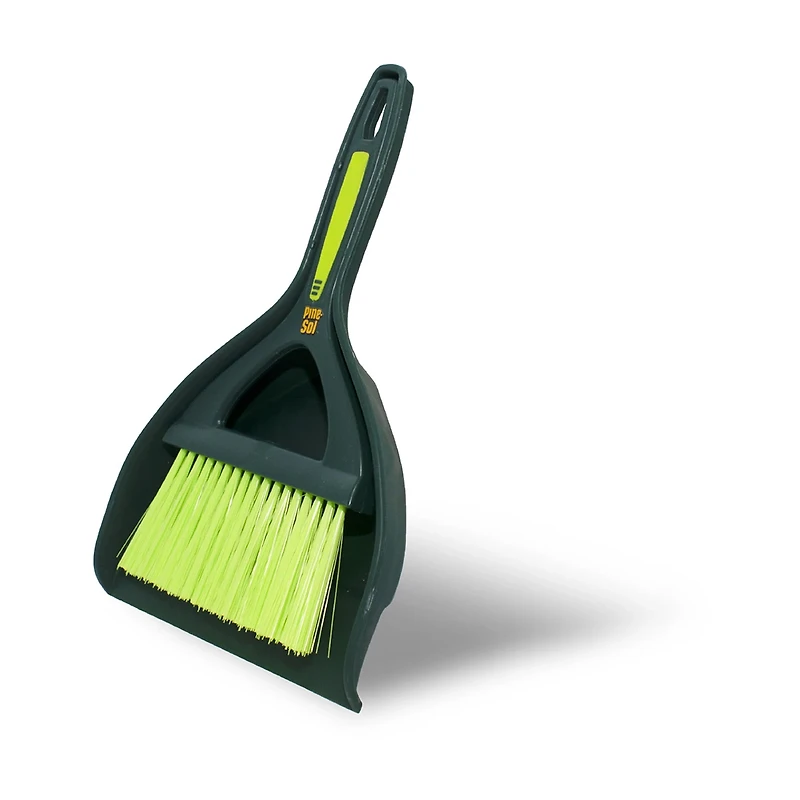 Pine-Sol Mini Dustpan and Brush