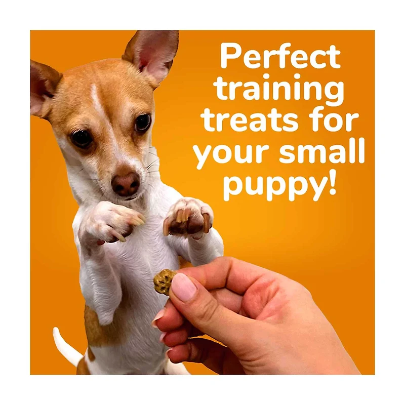 Fruitables Apple Bacon Flavor Skinny Minis Dog Treats, 5 oz