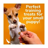 Fruitables Apple Bacon Flavor Skinny Minis Dog Treats, 5 oz