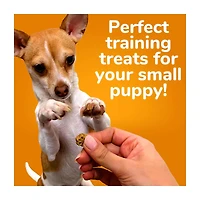 Fruitables Skinny Minis Dog Treats, Pumpkin and Berry Flavor, 5 oz