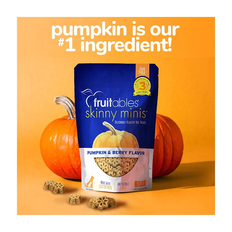 Fruitables Skinny Minis Dog Treats, Pumpkin and Berry Flavor, 5 oz