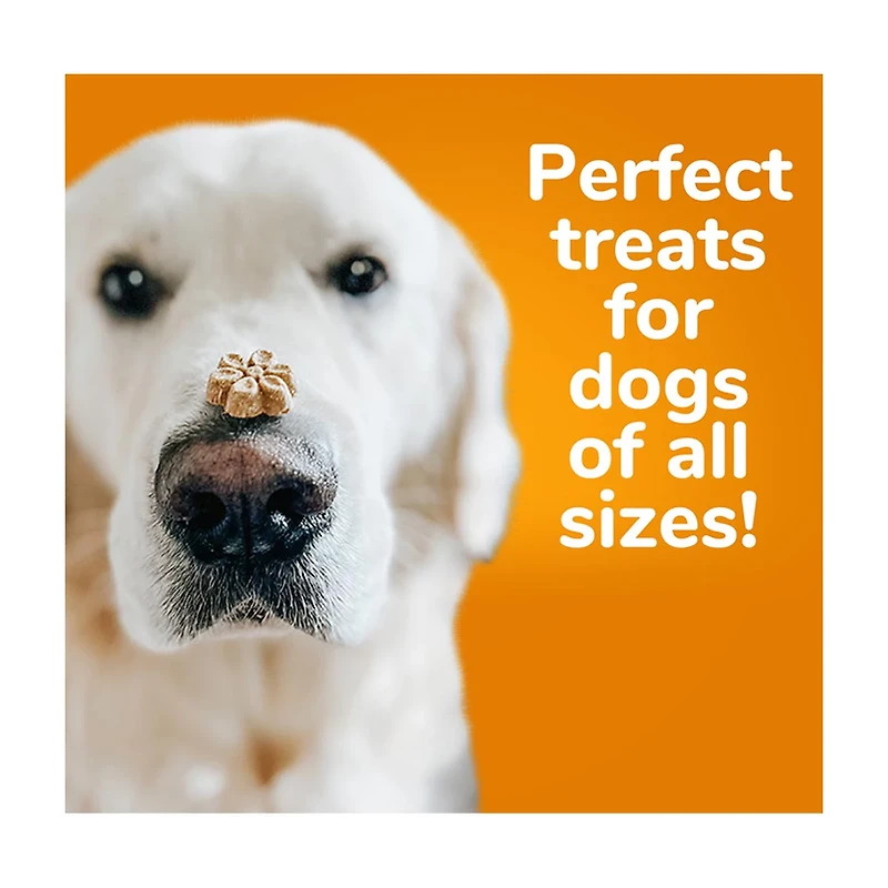 Fruitables Baked Pumpkin & Blueberry Flavor Dog Treats, 7 oz