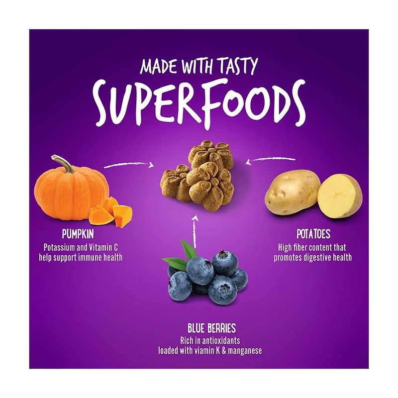 Fruitables Baked Pumpkin & Blueberry Flavor Dog Treats, 7 oz