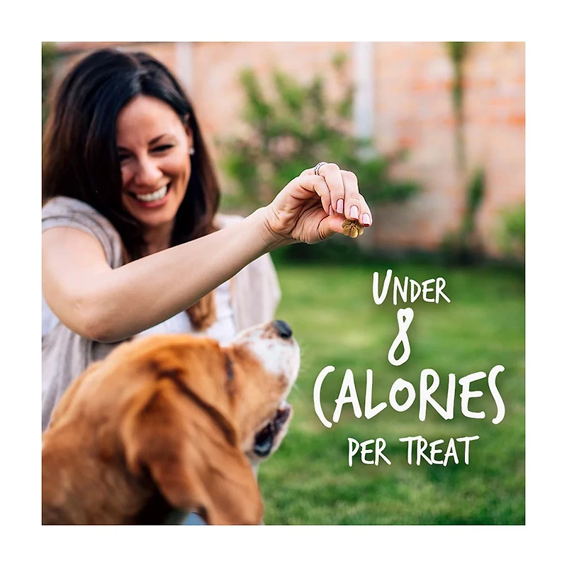 Fruitables Baked Pumpkin & Blueberry Flavor Dog Treats, 7 oz