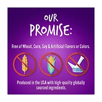 Fruitables Baked Pumpkin & Blueberry Flavor Dog Treats, 7 oz