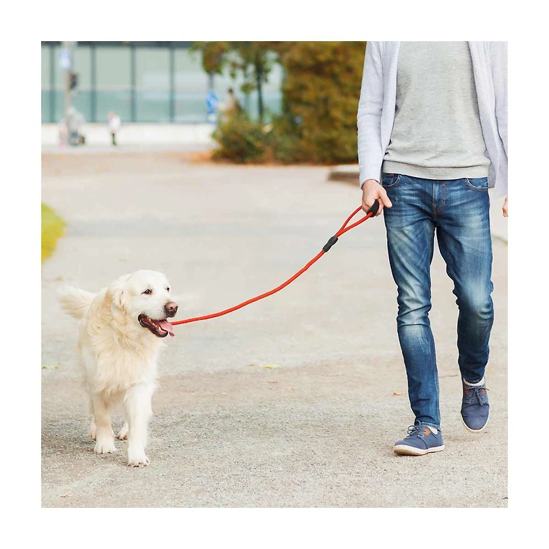 Bonita Pet Rope Leash, 47 in, Assorted