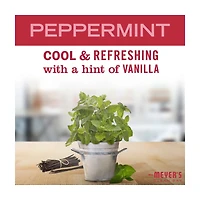 Mrs. Meyer's Clean Day Liquid Dish Soap, Peppermint Scent, 16 fl oz