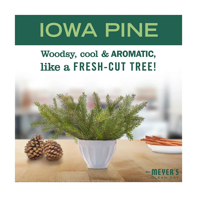 Mrs. Meyer's Clean Day Liquid Dish Soap, Iowa Pine Scent, 16 Ounce Bottle