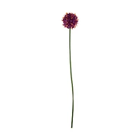 Pom Pom Stem, Purple