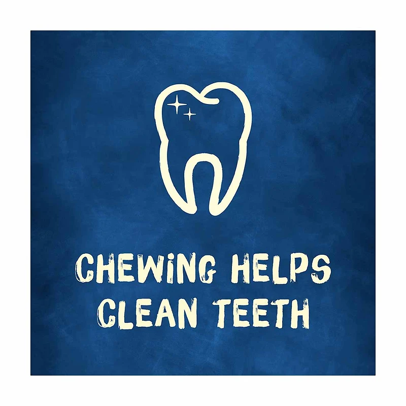 Purina Busy Bone Long Lasting Dog Treats, Peanut Butter Flavor, 2 ct