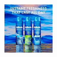 Gillette DryShield Dry Spray Antiperspirant Deodorant, Cool Wave