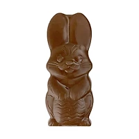 Frankford Kellogg's Rice Krispies Milk Chocolate 'N Cereal Easter Bunny, 1.6 oz