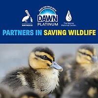 Dawn Platinum Dish Soap, Dishwashing Liquid, Tough Grease Removal, Fresh Rain, 5