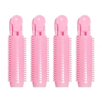 A2OLab Volumizing Hair Clips, 4 ct