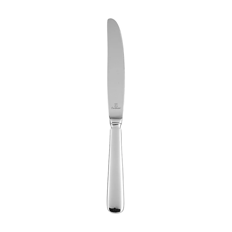 Stainless Steel Table Knife, 9.8 in