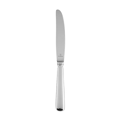 Stainless Steel Table Knife, 9.8 in