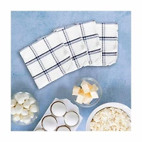 Waffle Capri Dish Cloth, Set of 4