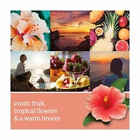 Yankee Candle Cliffside Sunrise Sidekick Fragrance Refill, 2 ct