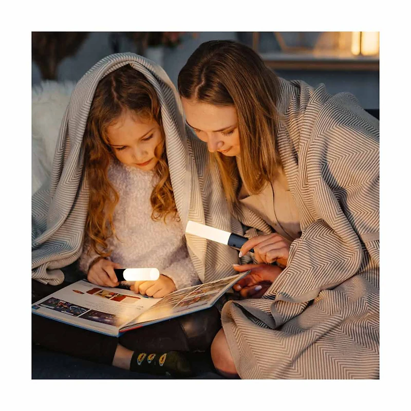 Motion Sensing LED Wall Mount Light