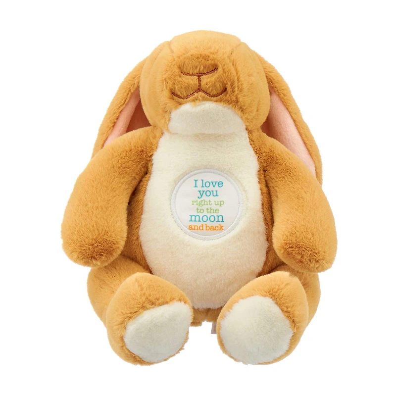 Guess How Much I love You Beanbag