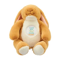 Guess How Much I love You Beanbag