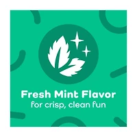 Plackers Micro Line Fresh Mint Flossers, 90 Count