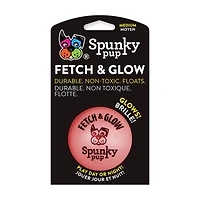 Spunky Pup Fetch & Glow Ball, Assorted