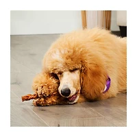 Treatly Collagen Braid Dog Chews, Chicken Flavor, Medium, 5 ct