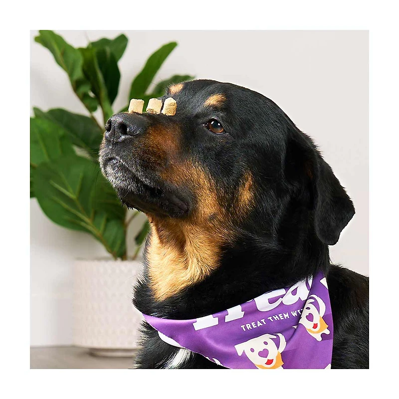 Treatly Freeze Dried Salmon & Sweet Potato Recipes Treats, 3 oz