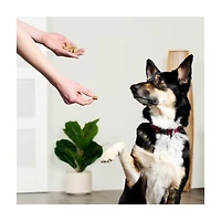 Treatly Freeze Dried Natural Dog Treats, Beef & Carrot Recipe, 3 oz