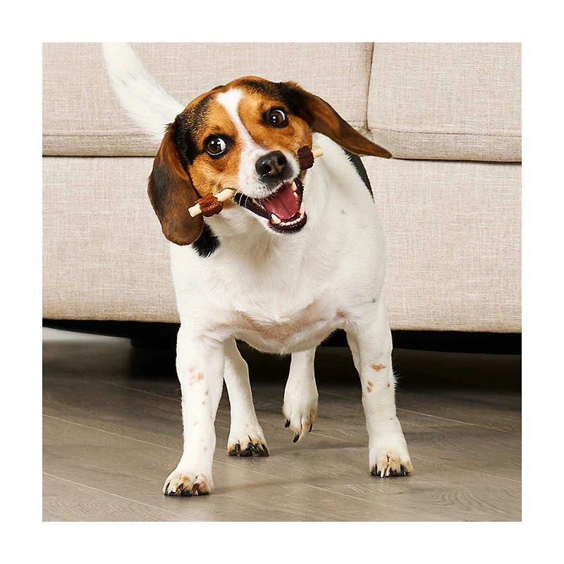 Treatly Rawhide Free IncrediChews Combo Kabobs, Wrapped with Real Duck & Chicken