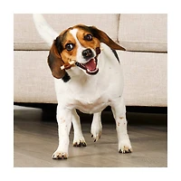 Treatly Rawhide Free IncrediChews Combo Kabobs, Wrapped with Real Duck & Chicken