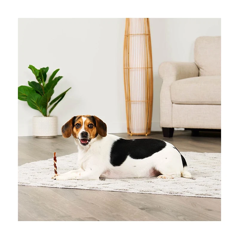 Treatly Rawhide Free IncrediChews Combo Twist Sticks Wrapped with Real Duck, Med