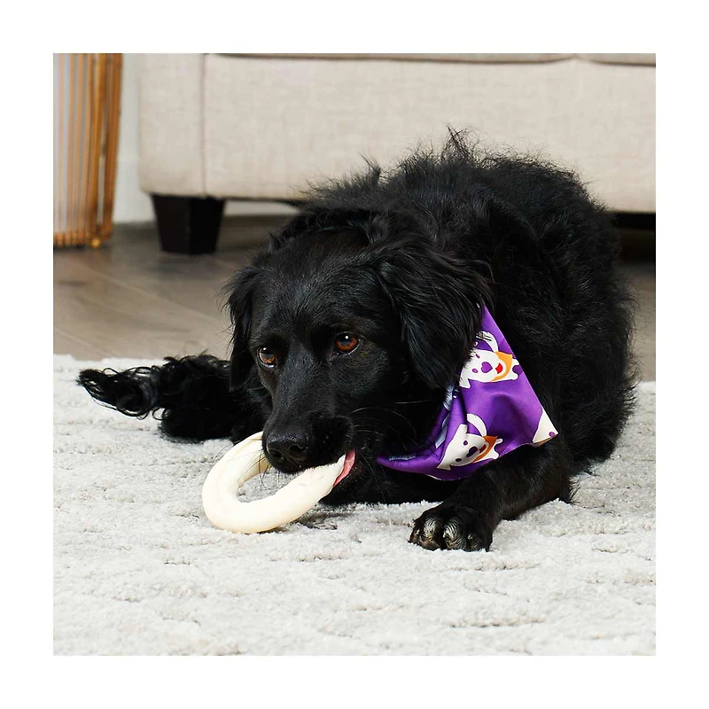 Treatly American Sourced Beefhide Donut Dog Chew, Small