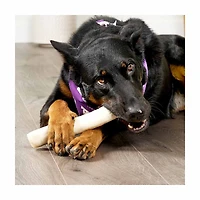 Treatly American Sourced Beefhide Roll Dog Chew, Large, 1 ct