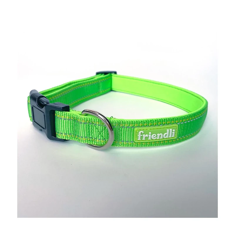 Friendli Nylon Dog Collar, L/XL, Cosmic Green