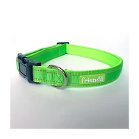 Friendli Nylon Dog Collar, L/XL, Cosmic Green