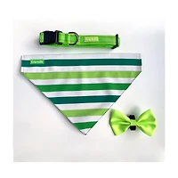 Friendli Nylon Dog Collar, L/XL, Cosmic Green