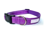 Friendli Nylon Dog Collar, L/XL, Grape