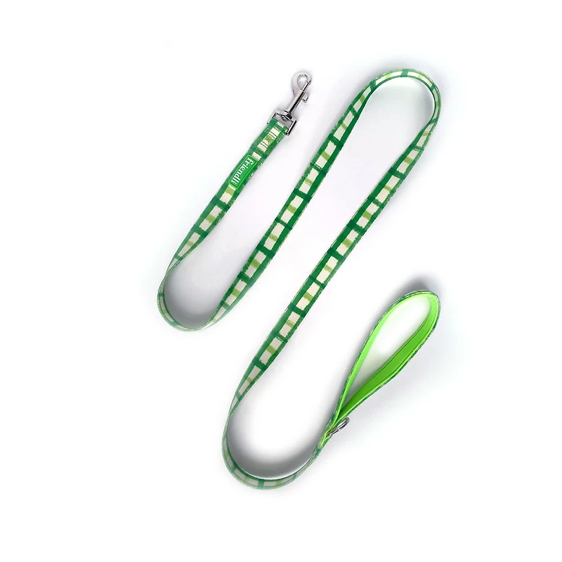 Friendli Neoprene Dog Leash, 5ft, Green Pattern
