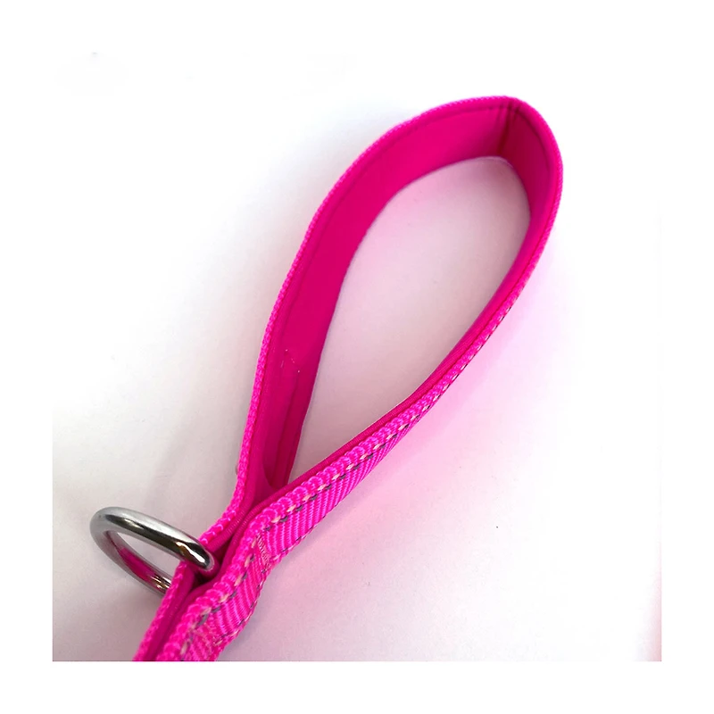 Friendli Nylon Dog Leash, 4-6ft, Hot Pink