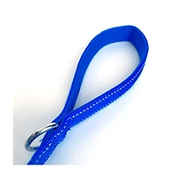 Friendli Nylon Dog Leash, 4-6ft, Sapphire Blue