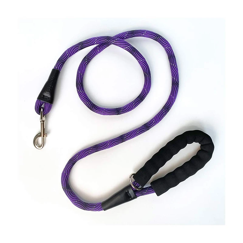 Friendli Nylon Rope Dog Leash, 5ft, Grape