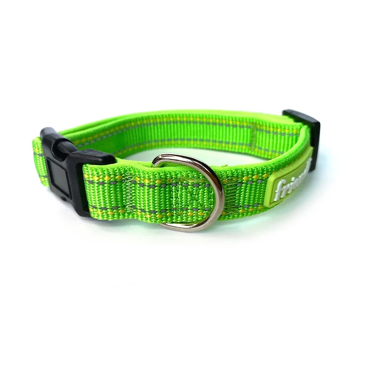 Friendli Nylon Dog Collar, S/M, Cosmic Green