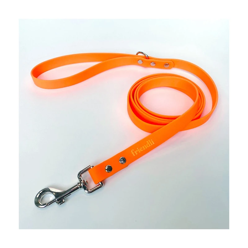 Friendli Waterproof Dog Leash, 6ft, Tangerine