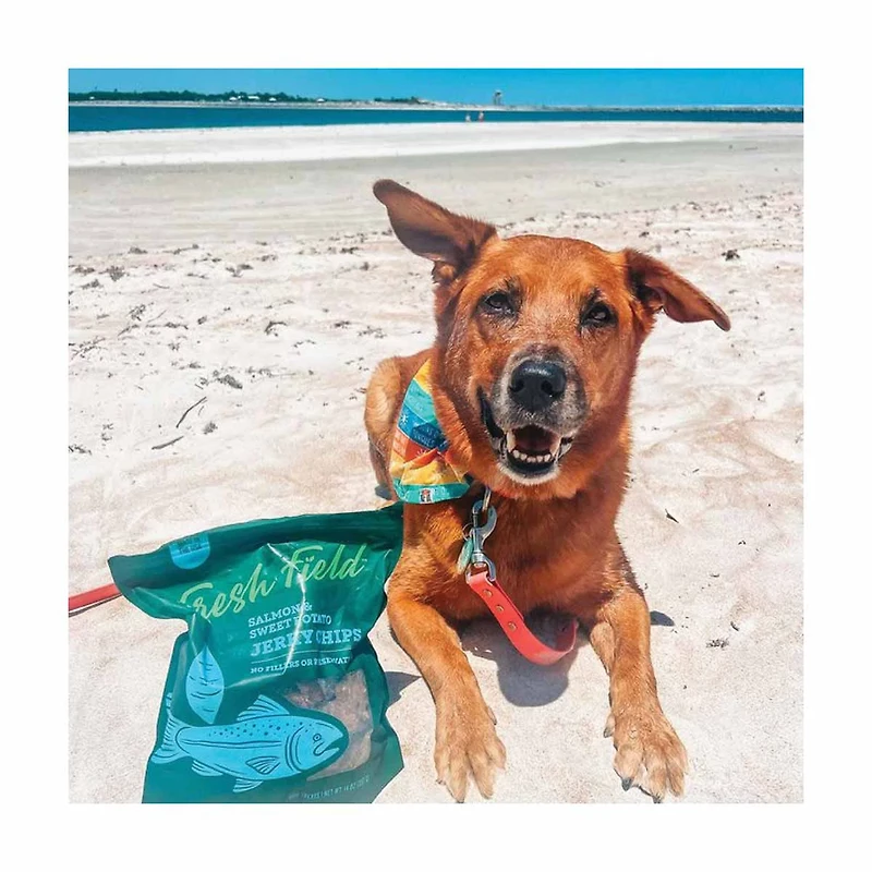 Fresh Field Salmon & Sweet Potato Jerky Chips for Dogs, 5 oz