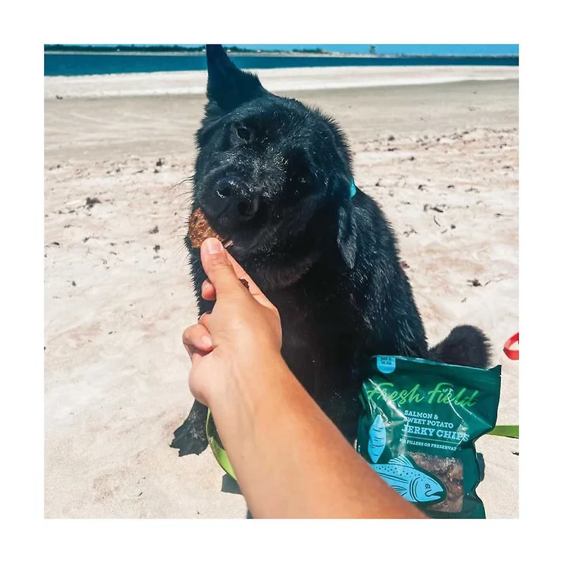Fresh Field Salmon & Sweet Potato Jerky Chips for Dogs, 5 oz