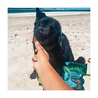 Fresh Field Salmon & Sweet Potato Jerky Chips for Dogs, 5 oz