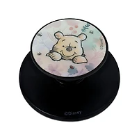 iJoy Spinpop Disney Magnetic Phone Grip, Assorted