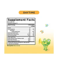 Hyland's Baby Organic Cough & Immune Daytime Syrup, 2 fl oz